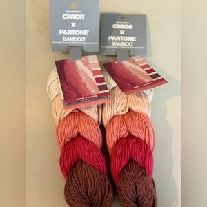 Caron x Pantone Bamboo Yarn 🧶 2 Hanks